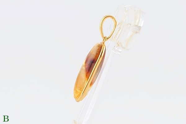 画像9: 琥珀ペンダント (9)