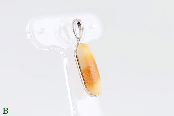 画像10: 琥珀ペンダント (10)