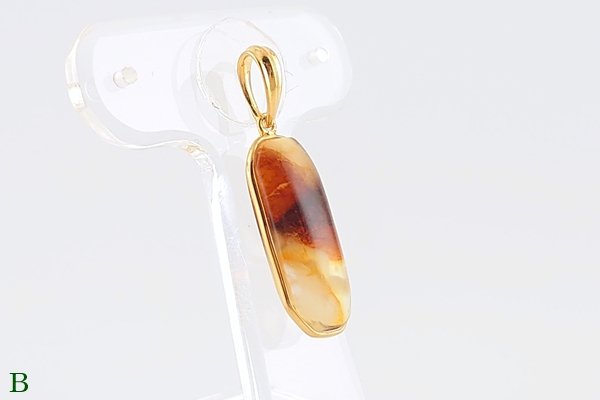 画像10: 琥珀ペンダント (10)