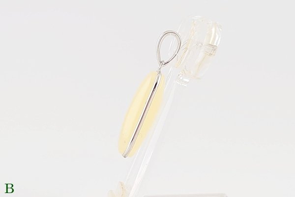画像8: 琥珀ペンダント (8)