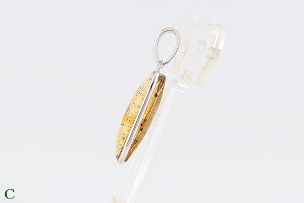 画像13: 琥珀ペンダント (13)