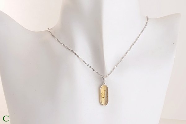 画像17: 琥珀ペンダント (17)