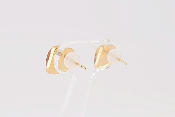 画像4: 琥珀ピアス (4)