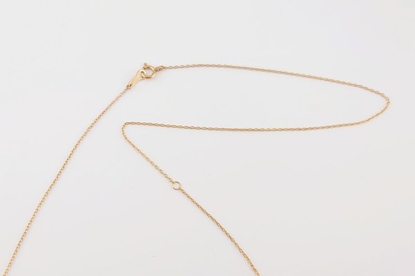 画像4: 【Amberlogue】ネックレス (4)