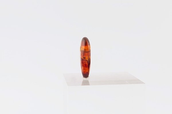 画像4: 久慈産琥珀根付 (4)