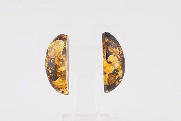 画像1: 琥珀ピアス (1)