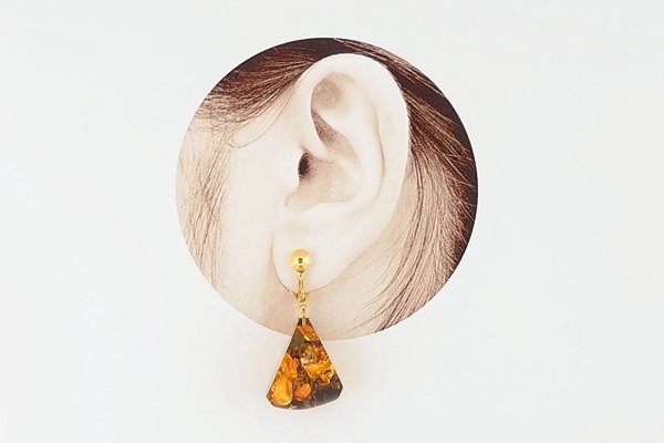 画像6: 琥珀イヤリング (6)