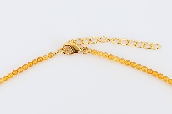 画像4: 琥珀ペンダント（ネックレス付き） (4)