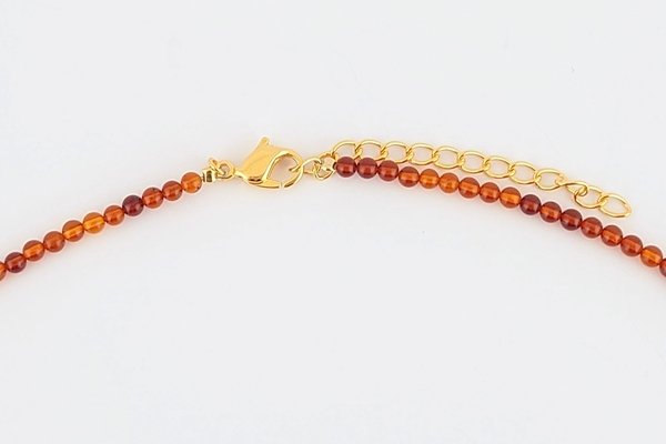 画像4: 琥珀ペンダント（ネックレス付き） (4)