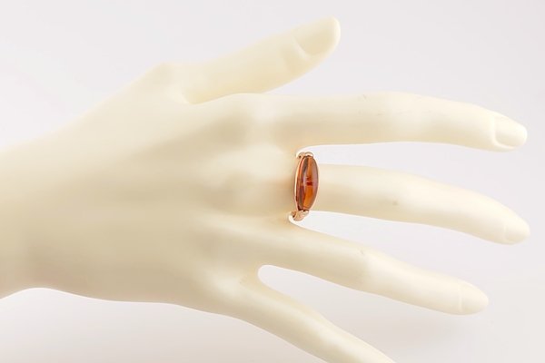 画像6: 琥珀リング (6)