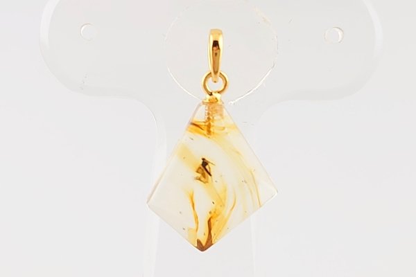 画像2: 虫入り琥珀ペンダント (2)