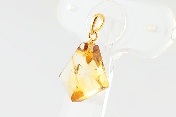 画像3: 虫入り琥珀ペンダント (3)