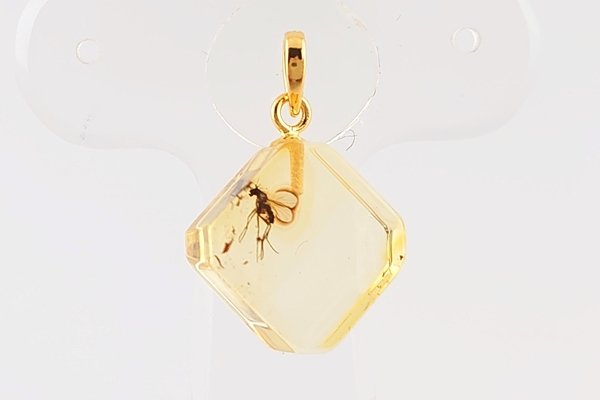 画像2: 虫入り琥珀ペンダント (2)