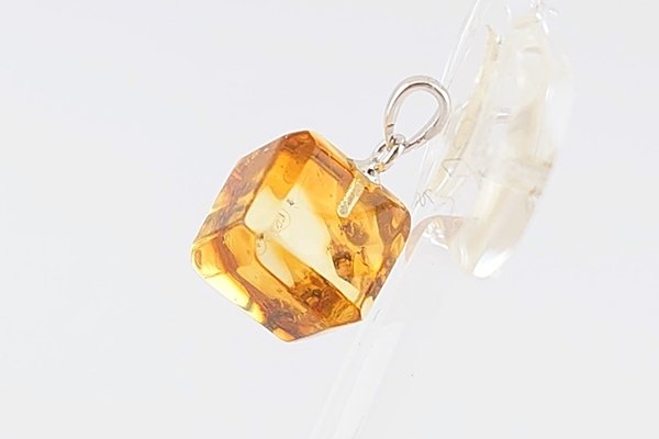 画像4: 虫入り琥珀ペンダント (4)