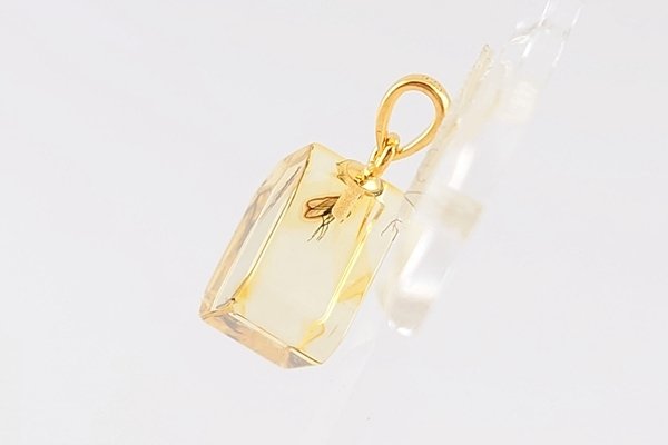 画像4: 虫入り琥珀ペンダント (4)