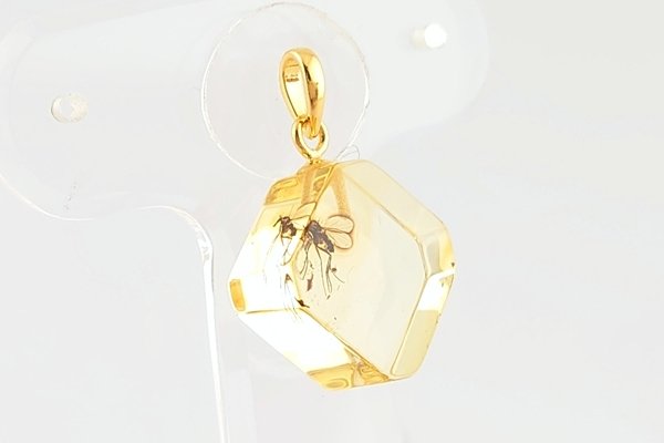 画像5: 虫入り琥珀ペンダント (5)