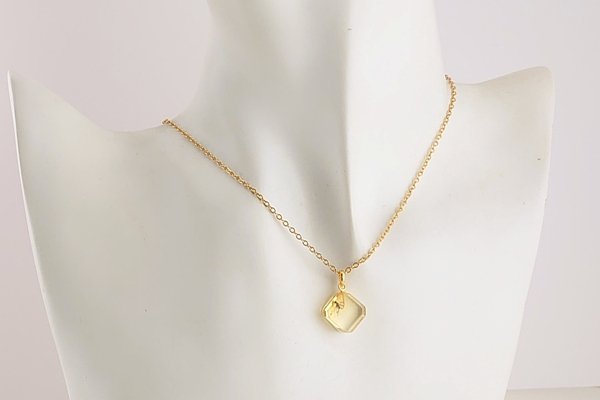 画像6: 虫入り琥珀ペンダント (6)