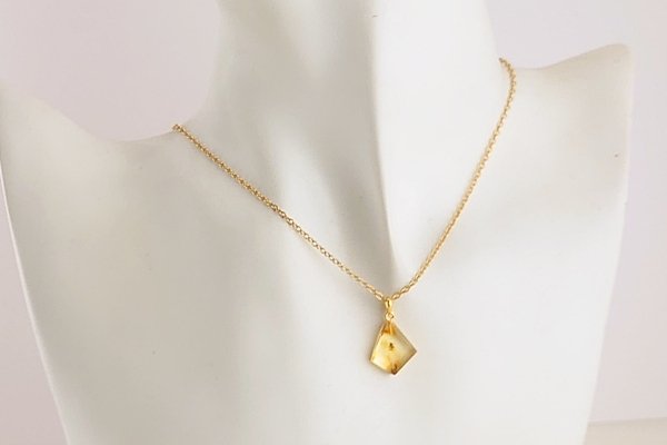 画像6: 虫入り琥珀ペンダント (6)