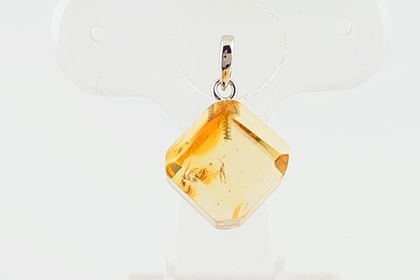 画像2: 虫入り琥珀ペンダント (2)