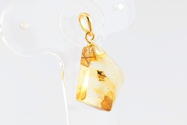 画像5: 虫入り琥珀ペンダント (5)