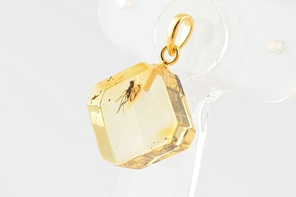 画像3: 虫入り琥珀ペンダント (3)