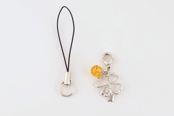 画像10: 久慈琥珀のお楽しみ袋　￥11,000 (10)