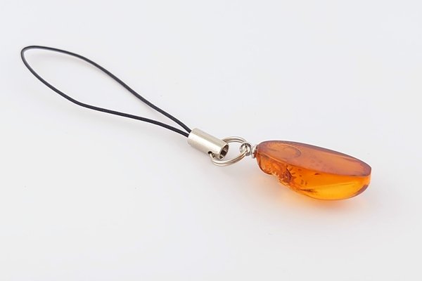 画像5: 久慈琥珀のお楽しみ袋　￥22,000 (5)