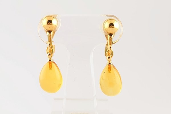 画像11: 久慈琥珀のお楽しみ袋　￥11,000 (11)