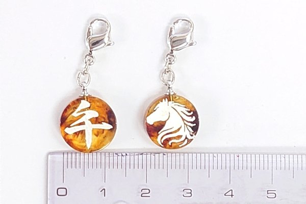 画像1: 商品イメージ (1)