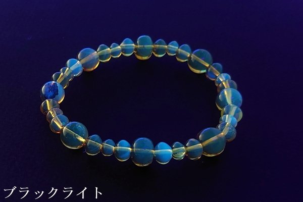 画像8: 初売り特選品　￥500,000 (8)