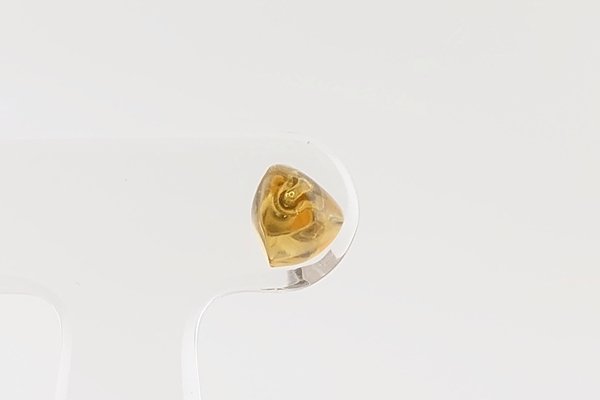 画像2: 【片耳】久慈産琥珀ピアス (2)