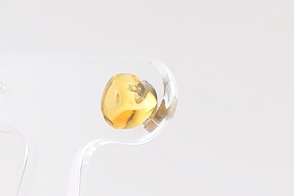 画像3: 【片耳】久慈産琥珀ピアス (3)