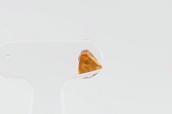 画像2: 【片耳】久慈産琥珀ピアス (2)