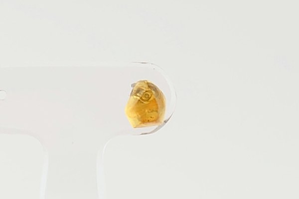 画像2: 【片耳】久慈産琥珀ピアス (2)