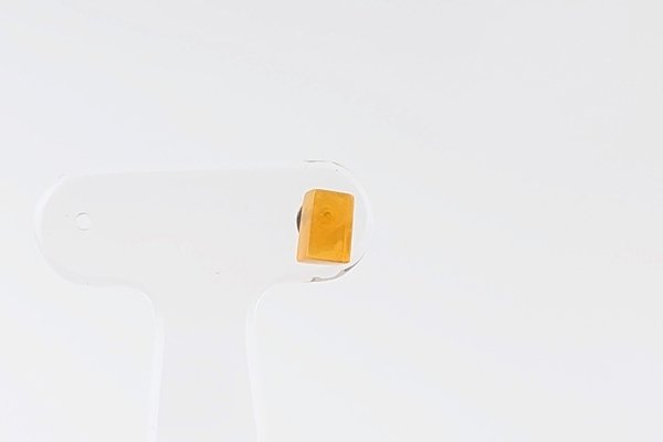 画像2: 【片耳】久慈産琥珀ピアス (2)