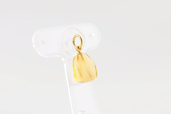 画像4: 久慈産琥珀ペンダント (4)