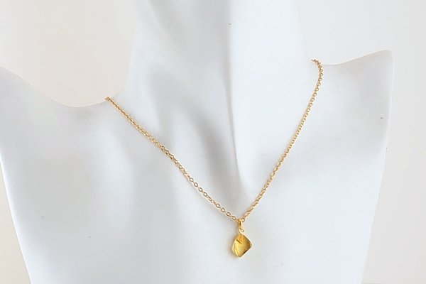 画像6: 虫入り琥珀ペンダント (6)