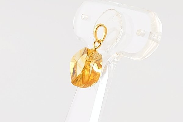 画像3: 虫入り琥珀ペンダント (3)