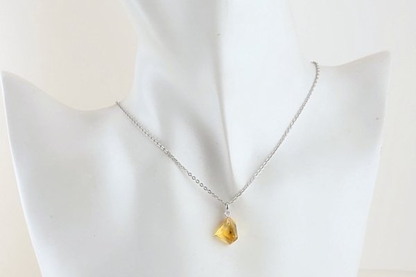 画像6: 虫入り琥珀ペンダント (6)