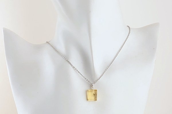 画像6: 虫入り琥珀ペンダント (6)