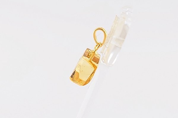 画像4: 虫入り琥珀ペンダント (4)