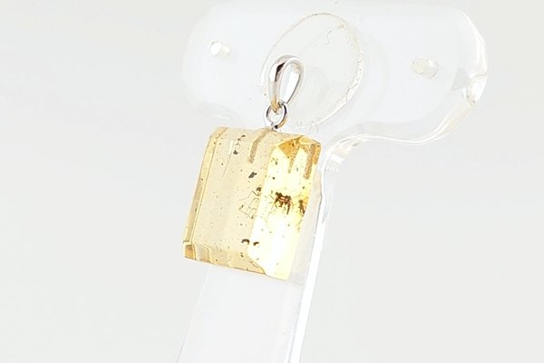 画像3: 虫入り琥珀ペンダント (3)