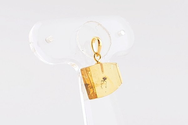画像5: 虫入り琥珀ペンダント (5)