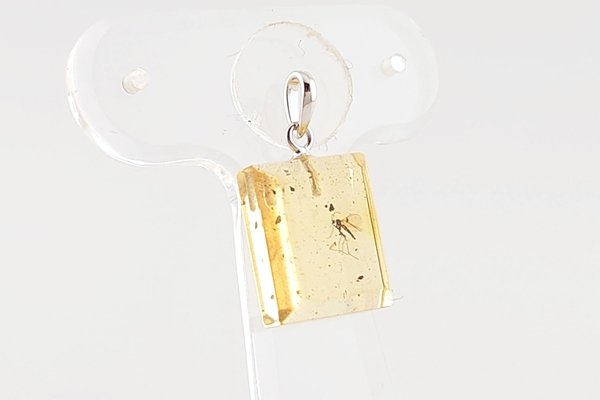 画像5: 虫入り琥珀ペンダント (5)