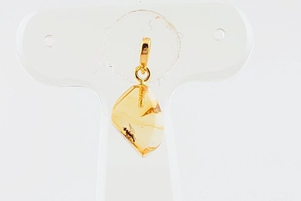 画像2: 虫入り琥珀ペンダント (2)