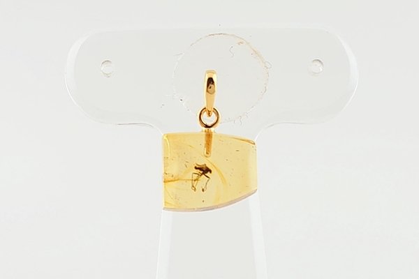 画像2: 虫入り琥珀ペンダント (2)