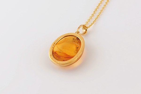 画像5: 久慈産琥珀ペンダント（チェーンネックレス付き） (5)