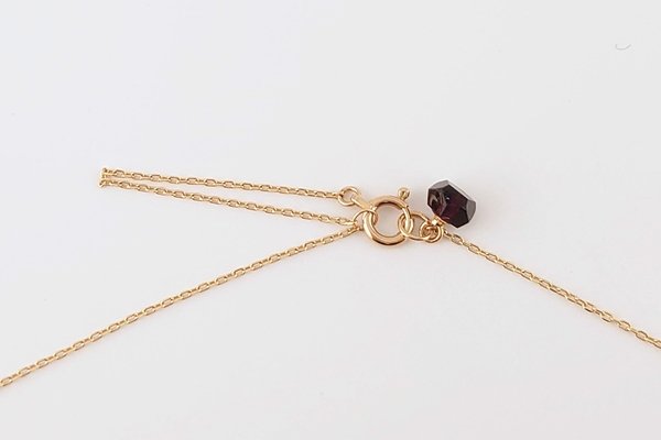 画像7: 【Amberlogue】ネックレス (7)