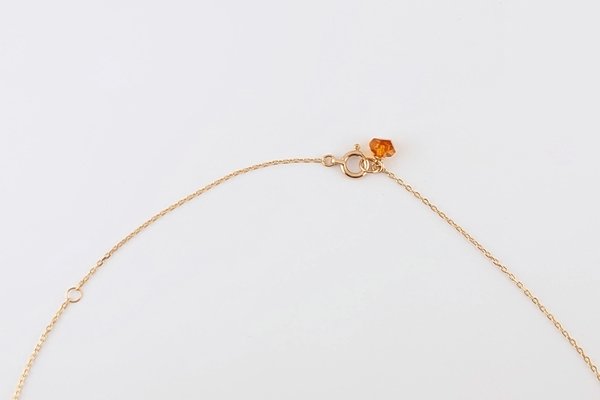 画像6: 【Amberlogue】ネックレス (6)