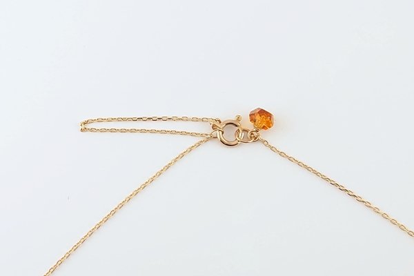 画像7: 【Amberlogue】ネックレス (7)